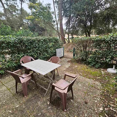 Apartment T2 En Rez-de-jardin, Terrasse, A 300m De La Plage, Parking, Environnement Calme Et Boise - Fr-1-550-71 Saint-Georges-de-Didonne